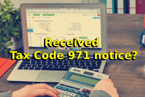 IRS Notice 971